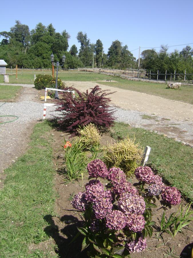 Cabanas Lago Azul Puerto Varas Exterior foto